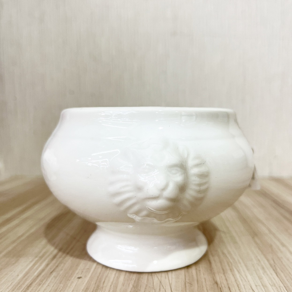 放大