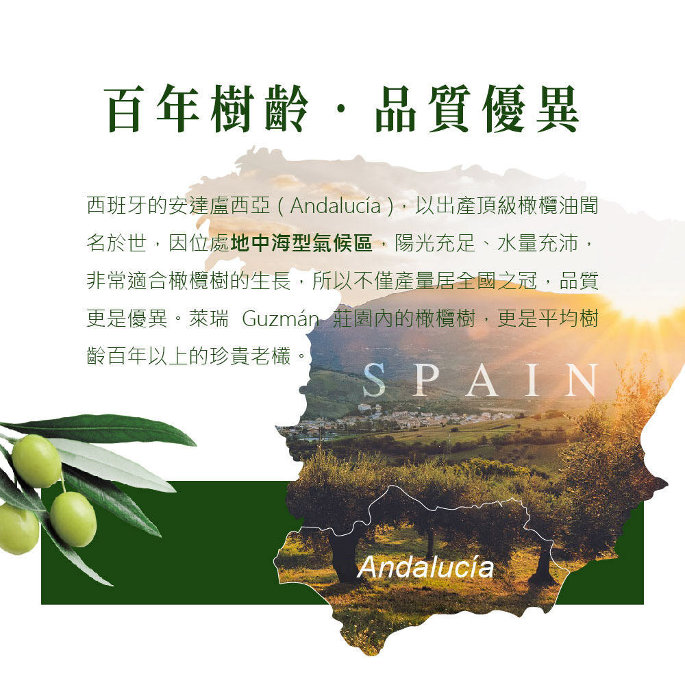 放大